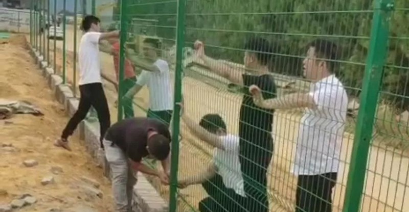 口袋新乡官网-口袋新乡APP下载